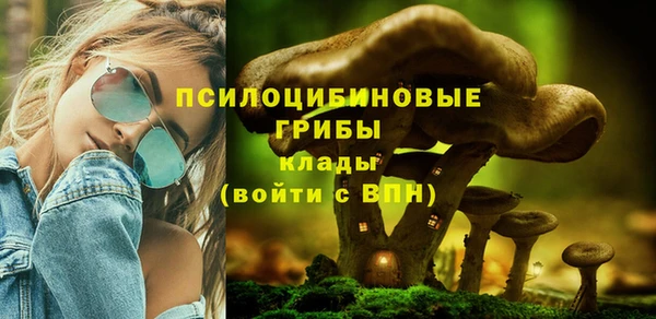 молекула духа Гусиноозёрск