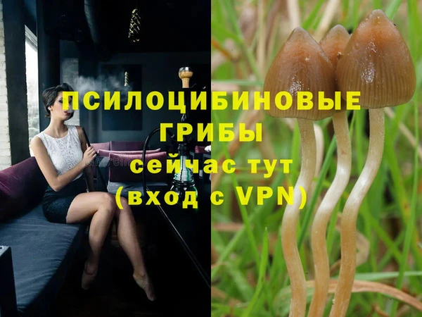 COCAINE Гусев