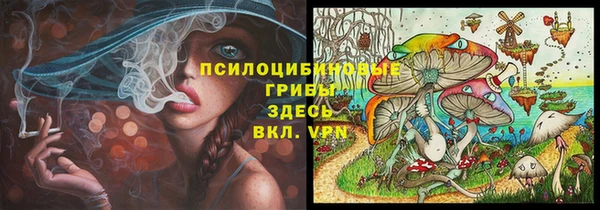 молекула духа Гусиноозёрск