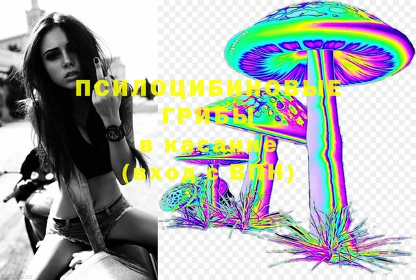 молекула духа Гусиноозёрск