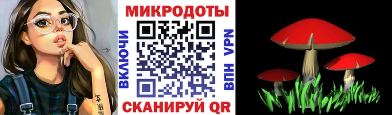 Галлюциногенные грибы Psilocybe  Гаврилов Посад 